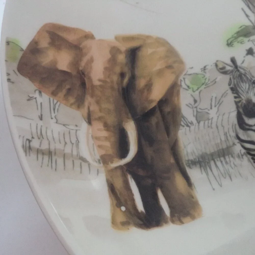 Pier 1 Africa Vintage Hand Painted Earthenware Serving Pasta Bowl Italy 3
